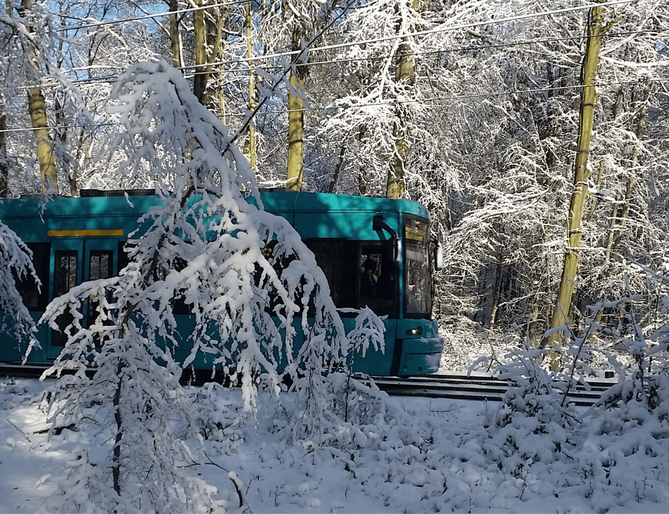 Bahn fährt durch einen beschneiten Wald