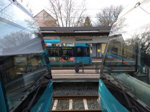 Tram und U-Bahn Haltestelle Ginnheim