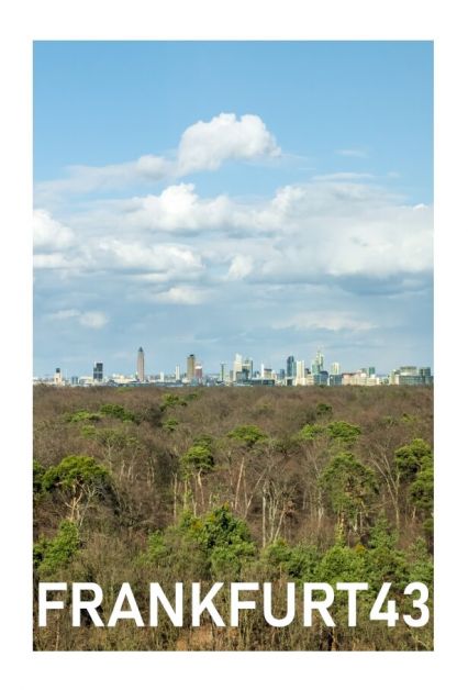 Cover Buch "Frankfurt 43"