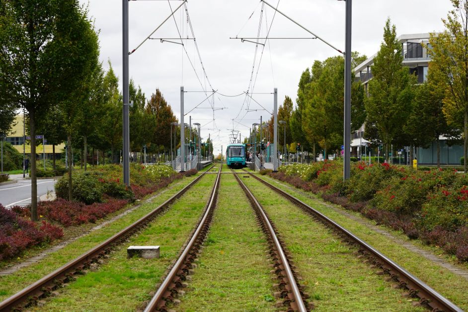 Straßenbahn an der Haltestelle und Umgebung